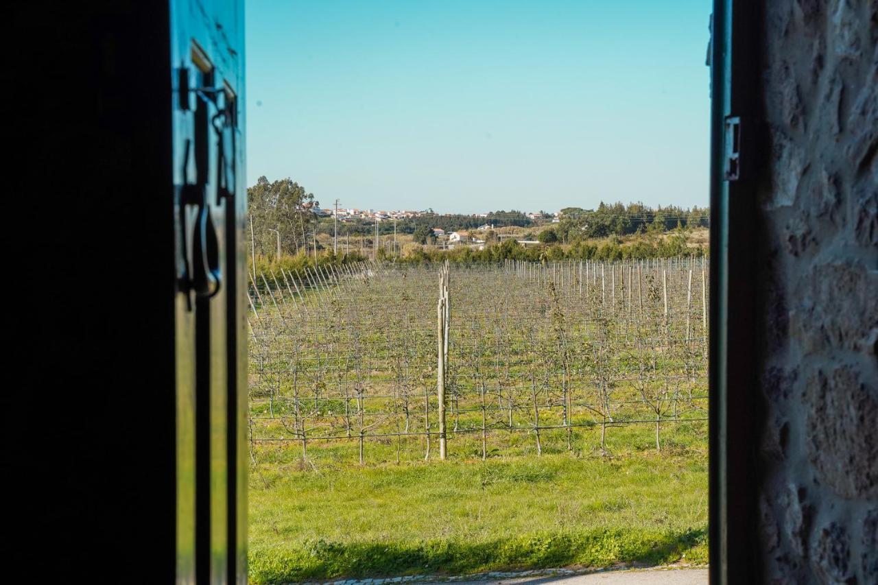Casa Rustica, Perto Do Castelo De Obidos Villa Exterior foto